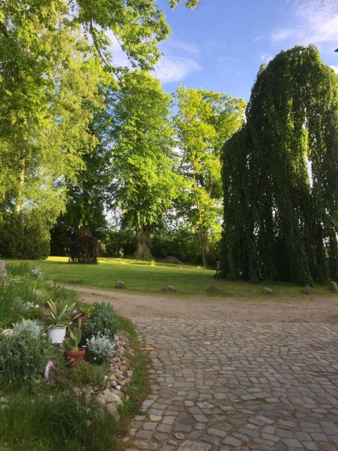 Herrenhaus Hohewarte 뤼베크 외부 사진